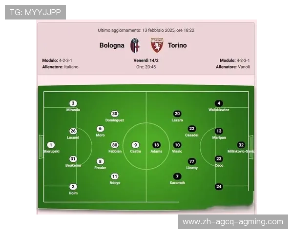 意甲球队在欧洲赛场的表现与成绩