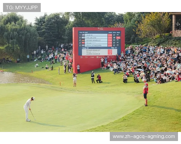 高尔夫公开赛:统治赛场 高尔夫公开赛:统治赛场